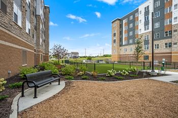 Paw park
